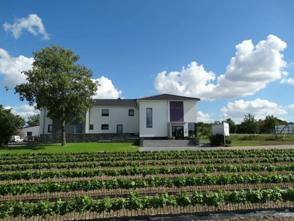 Meyerhof - Bioweingut, Vinothek & Gaestehaus Flonheim Exterior photo